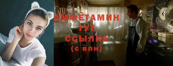 сатива Аркадак