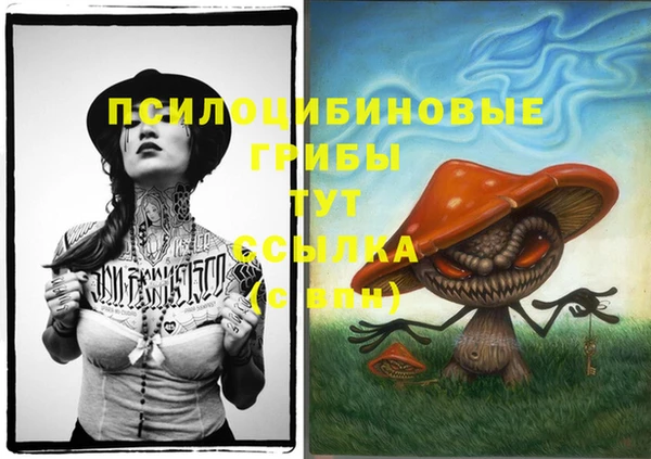 стаф Армянск