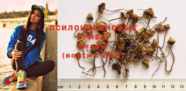 MDMA Premium VHQ Арсеньев