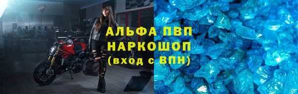 сатива Аркадак