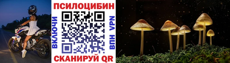 Галлюциногенные грибы прущие грибы  Купить где  Суворов 